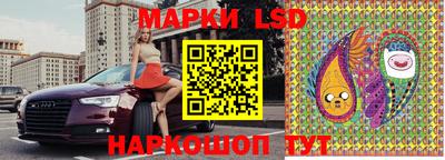 spice Кунгур