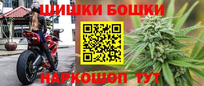 крисы Кулебаки