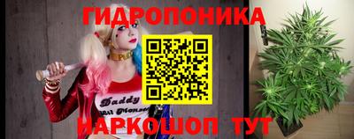 крисы Кулебаки