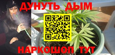 spice Кунгур