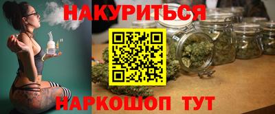 крисы Кулебаки