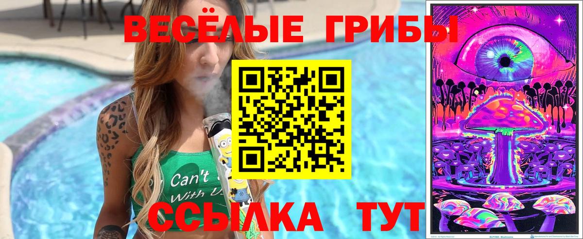 Псилоцибиновые грибы мухоморы Калач-на-Дону