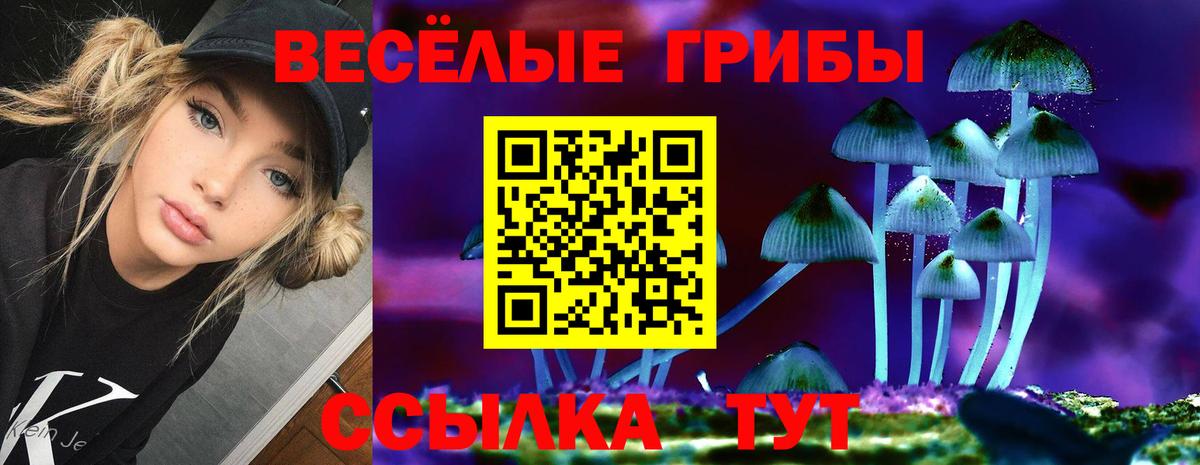Псилоцибиновые грибы Cubensis  Вход с VPN  Калач-на-Дону 